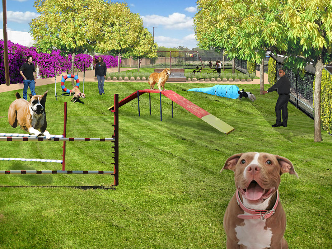 Dog Rehabilitation Center 01